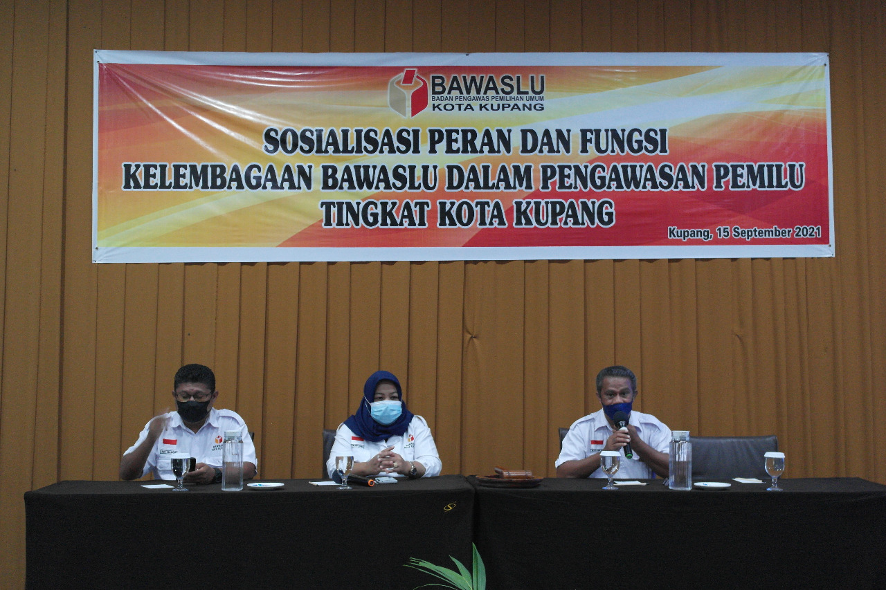 Partisipasi Berbagai Pihak Penting Dalam  Pengawasan Pemilu