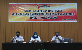 Partisipasi Berbagai Pihak Penting Dalam  Pengawasan Pemilu